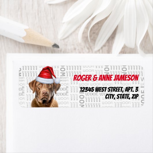 Weihnachts Chesapeake Bay Retriever Dog Name (Insitu)