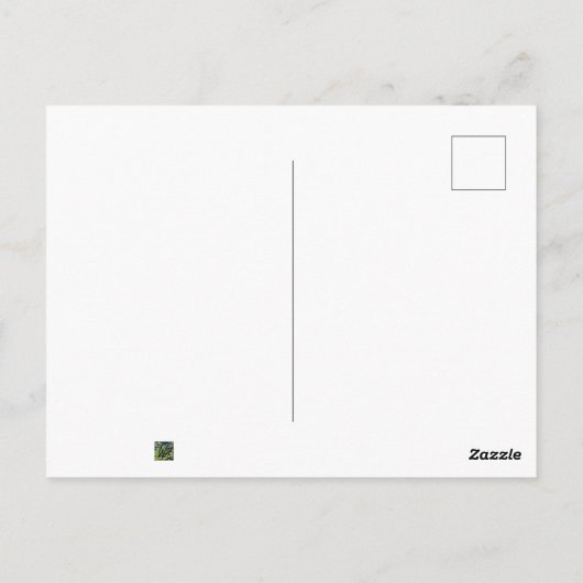 Weihnachts-Chickadee Postkarte (Rückseite)