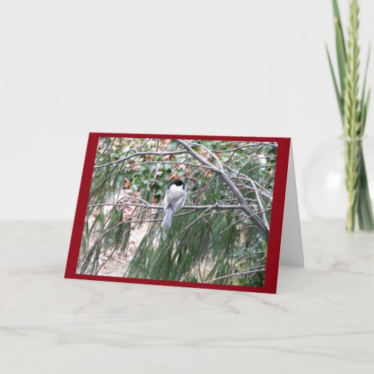 Weihnachts-Chickadekarte Feiertagskarte (Vorderseite)