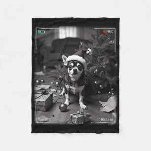 Weihnachts-Chihuahua auf Kamera erwischt Fleecedecke