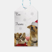 Weihnachts-Chihuahua-Hunde Geschenkanhänger (Vorderseite)