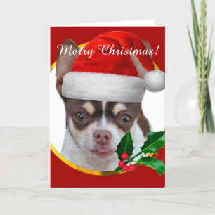 Weihnachts Chihuahua Hundekarte Feiertagskarte