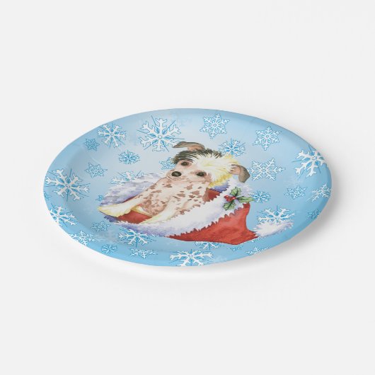 Weihnachts-Chinesische Papierplatte Pappteller (Schrägansicht)