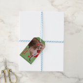 Weihnachts-Chums-Geschenktags Geschenkanhänger (Mit Garn)
