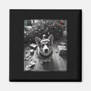 Weihnachts-Corgi auf Kamera erwischt Magnet