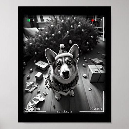 Weihnachts-Corgi auf Kamera erwischt Poster (Vorne)