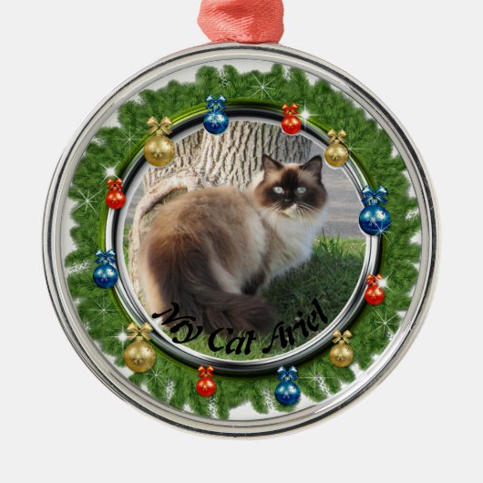 Weihnachts Custom Pet Ornamente Kleider Hintergrun (Vorne)