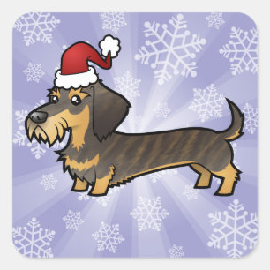 Weihnachts-Dackel (Drahthaarterrier) Quadratischer Aufkleber