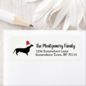 Weihnachts-Dackel mit Weihnachtsmannmütze und Fami (Insitu)