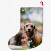 Weihnachts-Dackel Wandern in einer Dackel Wunderla Kleiner Weihnachtsstrumpf (Rückseite)