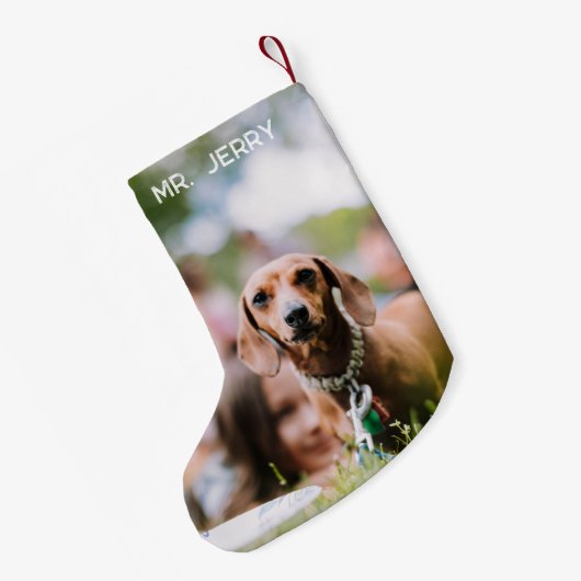 Weihnachts-Dackel Wandern in einer Dackel Wunderla Kleiner Weihnachtsstrumpf (Rückseite (Hängend))