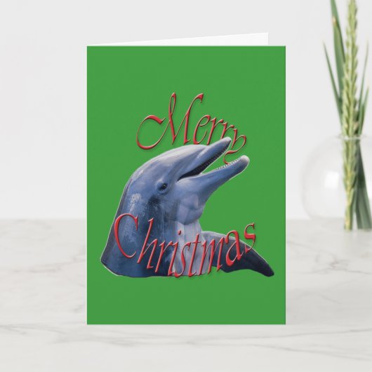 Weihnachts-Dolphin-Grußkarte Feiertagskarte (Vorderseite)