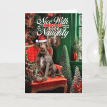 Weihnachts-Drahthaarterrier Pointer Naughty oder N
