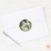 Weihnachts-Dream-Sticker Runder Aufkleber (Umschlag)