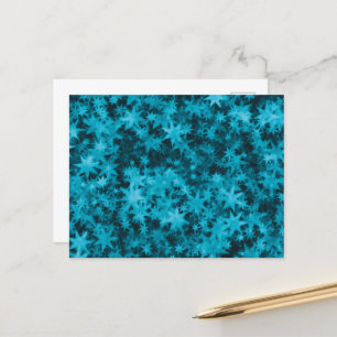 Weihnachts-Echo Postkarte