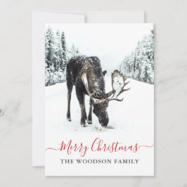 Weihnachts Elche Winter Schnee Frohe Weihnachten