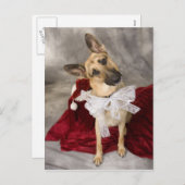 Weihnachts-Elsass Feiertagspostkarte (Vorne/Hinten)