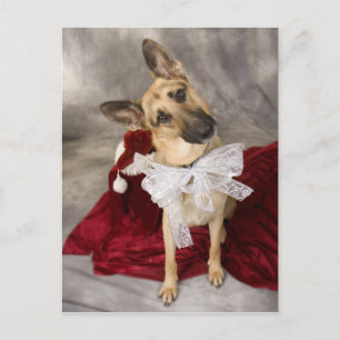 Weihnachts-Elsass Feiertagspostkarte