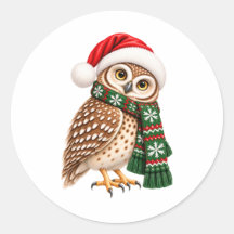 Weihnachts-Eulen-Aufkleber