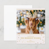 Weihnachts-Foto (Vorne/Hinten)