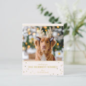 Weihnachts-Foto (Stehend Vorderseite)