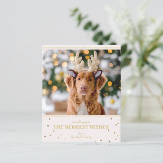 Weihnachts-Foto (Stehend Vorderseite)