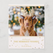 Weihnachts-Foto (Vorderseite)