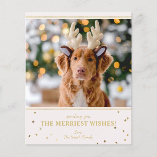 Weihnachts-Foto (Vorderseite)