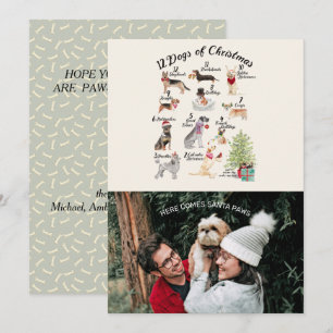 Weihnachts-Foto 12 Hunde Weihnachten mit Weihnacht Karte