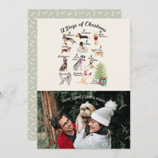 Weihnachts-Foto 12 Hunde Weihnachten mit Weihnacht Karte