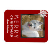 Weihnachts-Foto 3x4 Gruß vom Hund / Haustier Magnet (Horizontal)