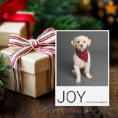 Weihnachts-Foto | Freude | Happy Holiday