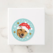 Weihnachts-Foto Name Funny Santa Blue Geschenk Geschenkanhänger (Beispiel)