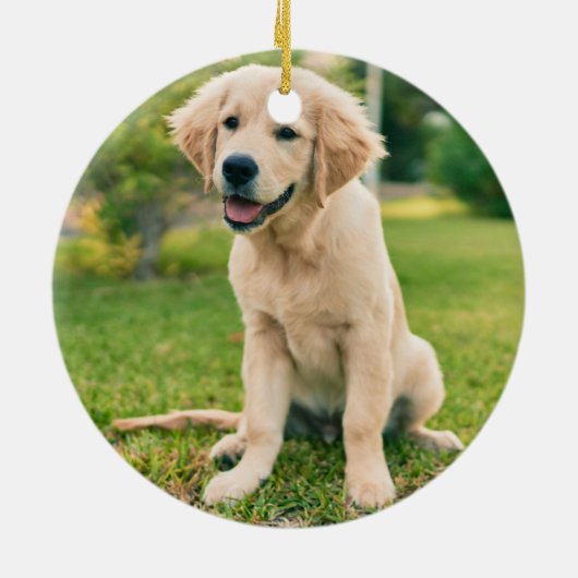 Weihnachts-Foto Niedlich Welpen-Hund Labrador Keramik Ornament (Hinten)