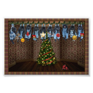 Weihnachts-Fotoabzüge zum Aufhängen Fotodruck