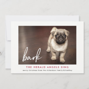 Weihnachts-Fotokarte vom Hund Rot Feiertagskarte