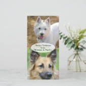 Weihnachts-Fotokarte von den Hunden Feiertagskarte (Stehend Vorderseite)