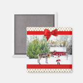 Weihnachts-Freude und Foto Magnet (Vorderseite/Rückseite)