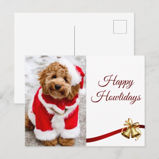 Weihnachts-Frohe Festtage Cockapoo Freunde Postkarte (Vorne/Hinten)