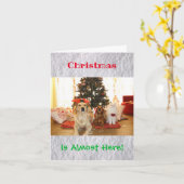 Weihnachts Funny Spaß Hunde Katzen Tiere Foto Karte (Gelbe Blume)