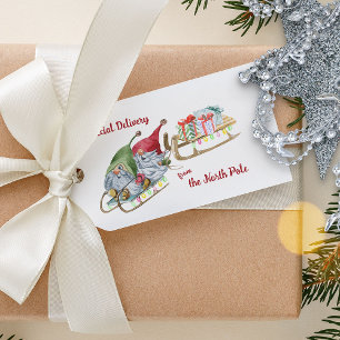 Weihnachts-Gnome-Sondersendung vom Nordpol Geschenkanhänger