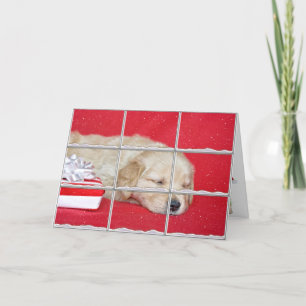 Weihnachts Golden Retriever Welpe im Schneefenster Feiertagskarte