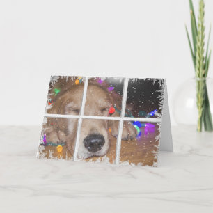 Weihnachts-Golden Retrique mit Lichtern Feiertagskarte
