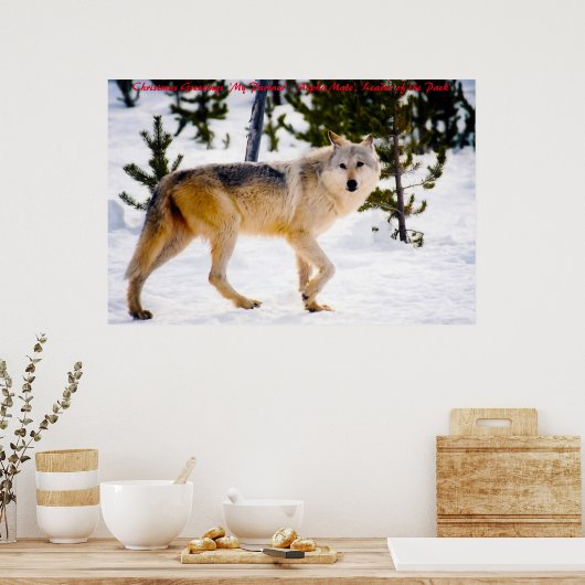 Weihnachts-Gründerführer des Pakets Poster (Küche)