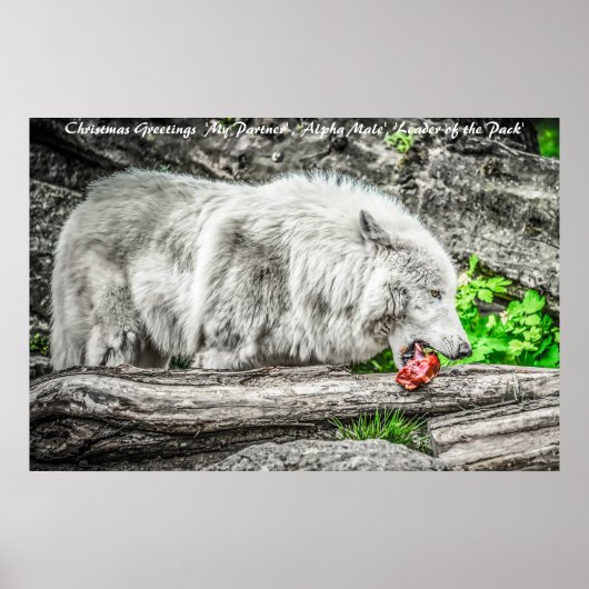 Weihnachts-Gründerführer des Pakets Poster (Vorne)