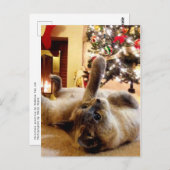Weihnachts Gruß durch Blasen die Katze Postkarte (Vorne/Hinten)