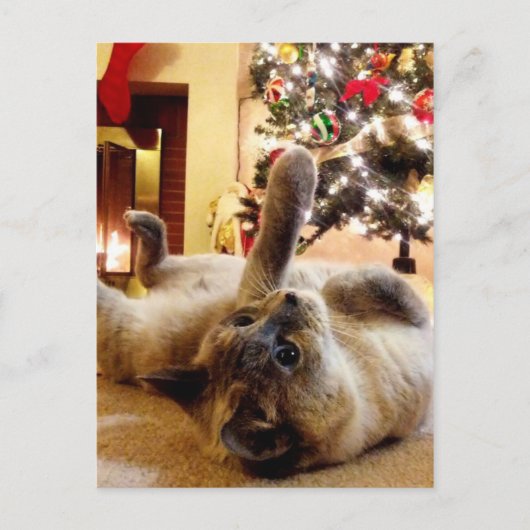 Weihnachts Gruß durch Blasen die Katze Postkarte (Vorderseite)