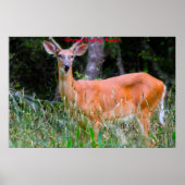 Weihnachts-Grüße Poster (Vorne)