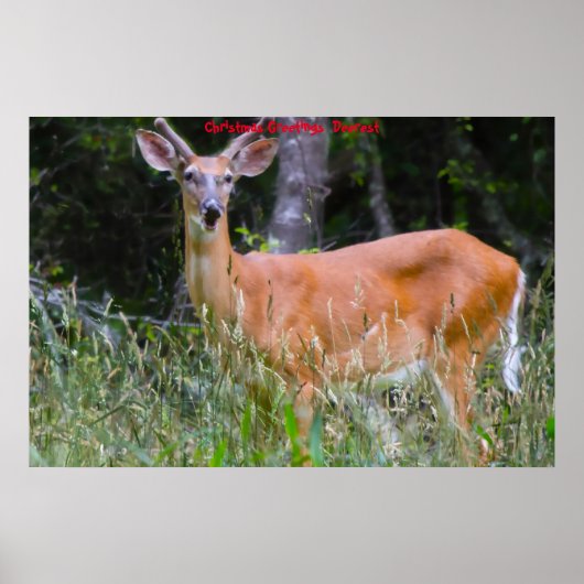 Weihnachts-Grüße Poster (Vorne)