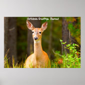 Weihnachts-Grüße Poster (Vorne)